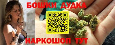 скорость Обь