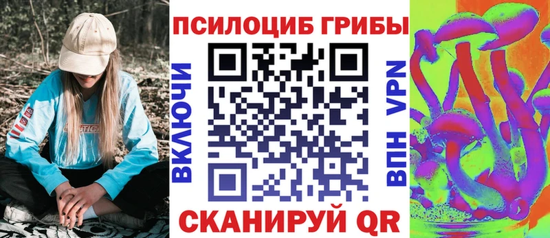кракен ссылки  Шуя  Галлюциногенные грибы MAGIC MUSHROOMS 