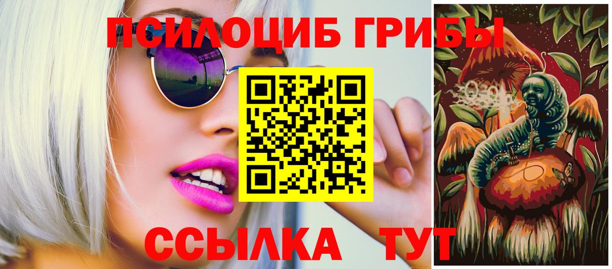 Шуя  Галлюциногенные грибы MAGIC MUSHROOMS  где купить   Вход с VPN 