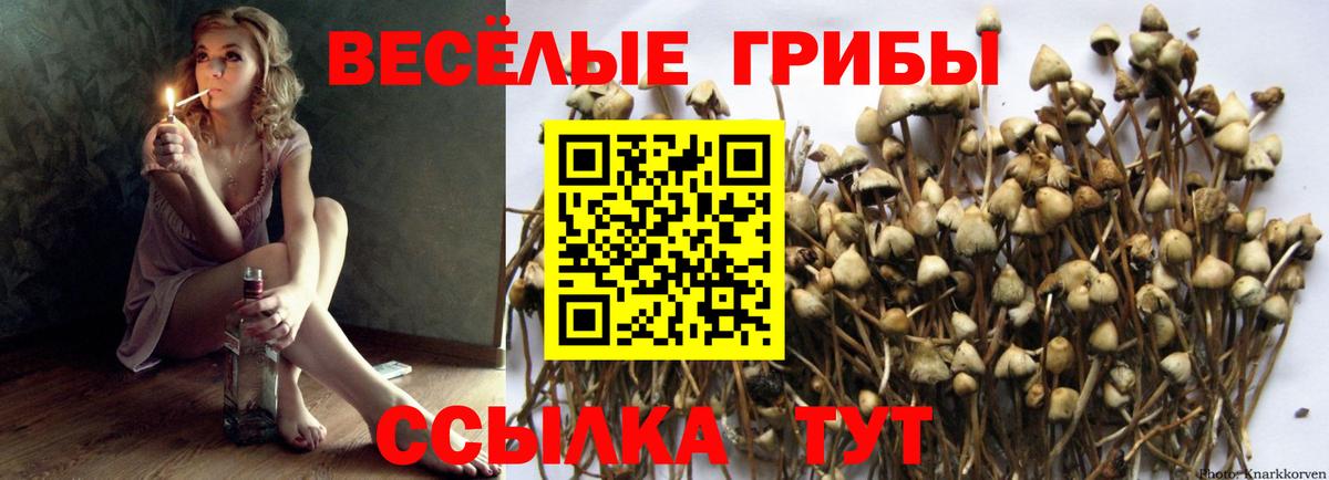 Псилоцибиновые грибы MAGIC MUSHROOMS Шуя